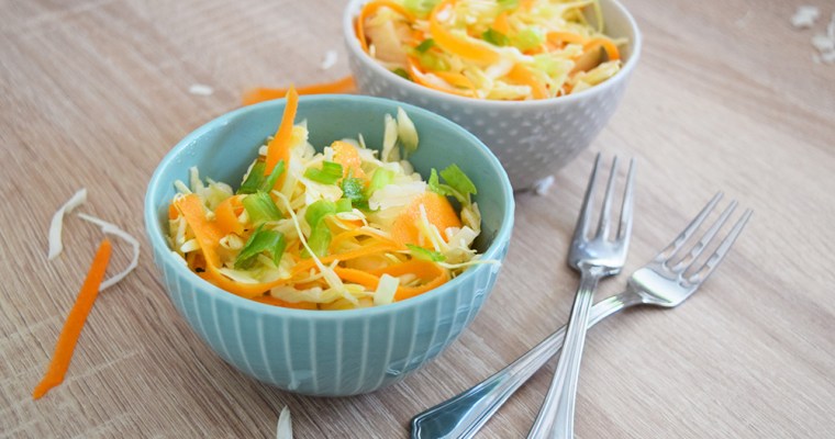 Cabbage Carrot Slaw Salad